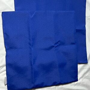 Blue Throw Pillow Covers (2)